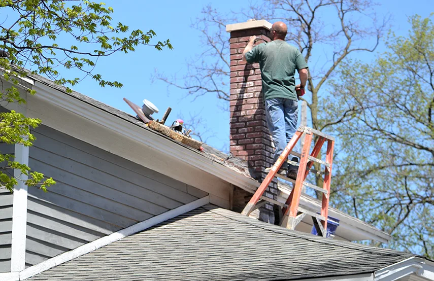 Chimney & Fireplace Inspections Services in Bowie, MD